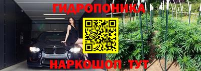 молекула духа Можга