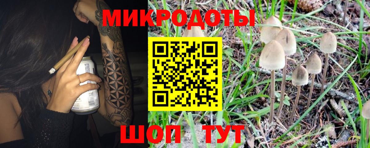Псилоцибиновые грибы мухоморы  как найти наркотики  Сланцы  Вход с VPN 