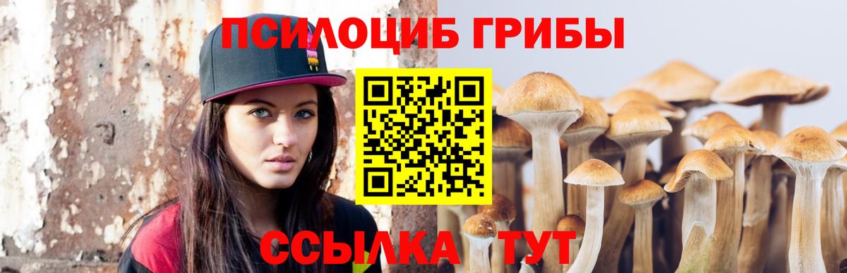 Галлюциногенные грибы Psilocybine cubensis Сланцы